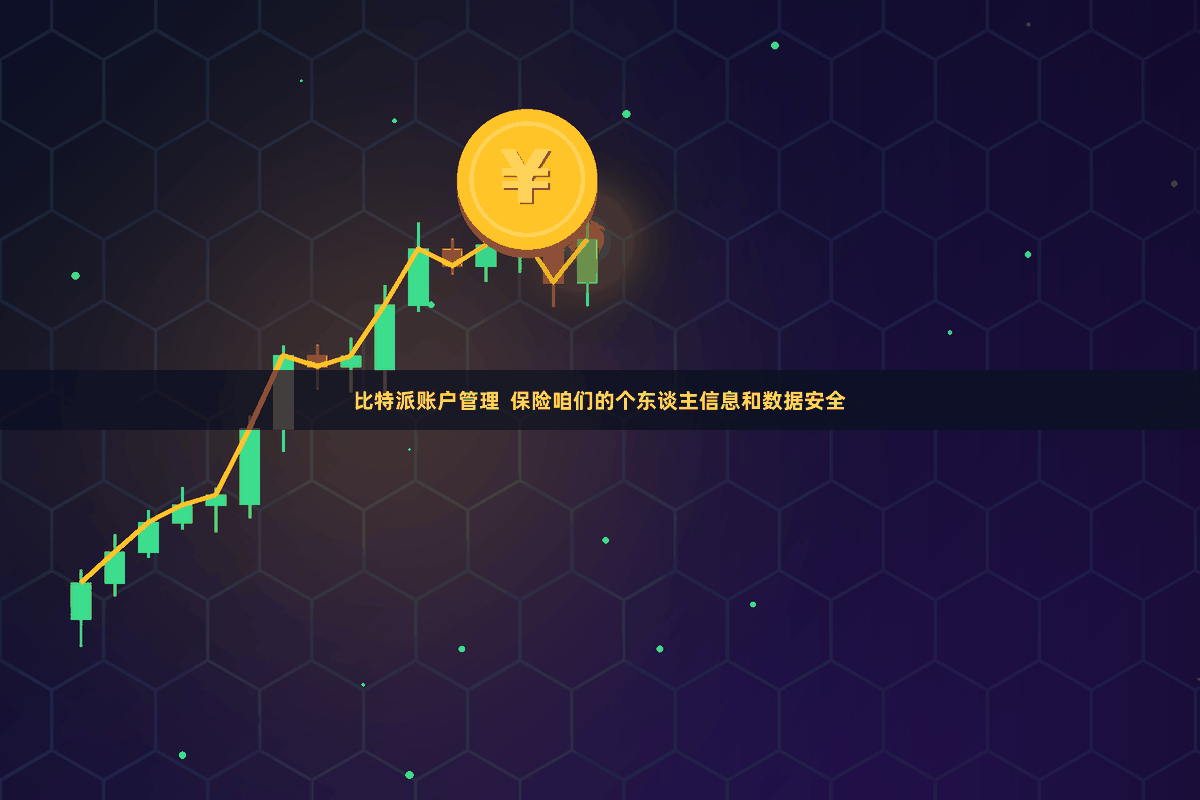 比特派账户管理  保险咱们的个东谈主信息和数据安全